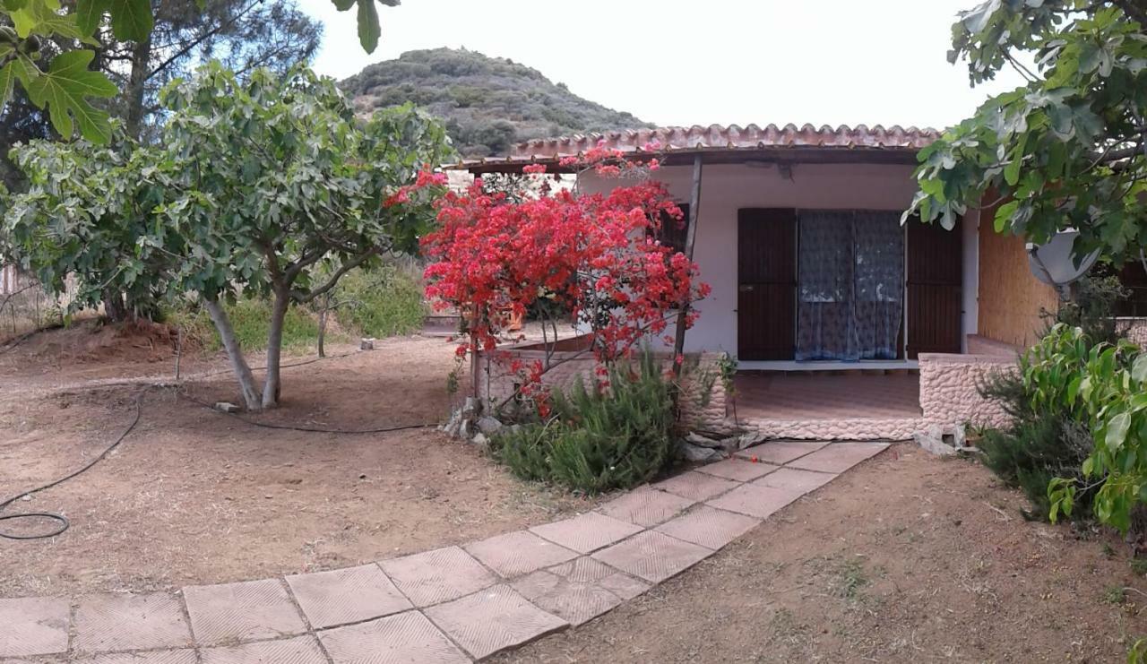 Casa Vigna Laterale E Centrale Villa Tertenia Luaran gambar