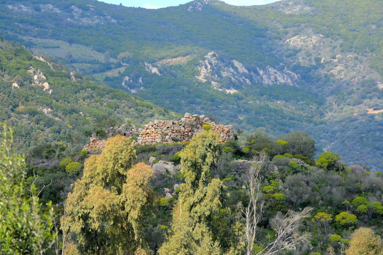 Casa Vigna Laterale E Centrale Villa Tertenia Luaran gambar