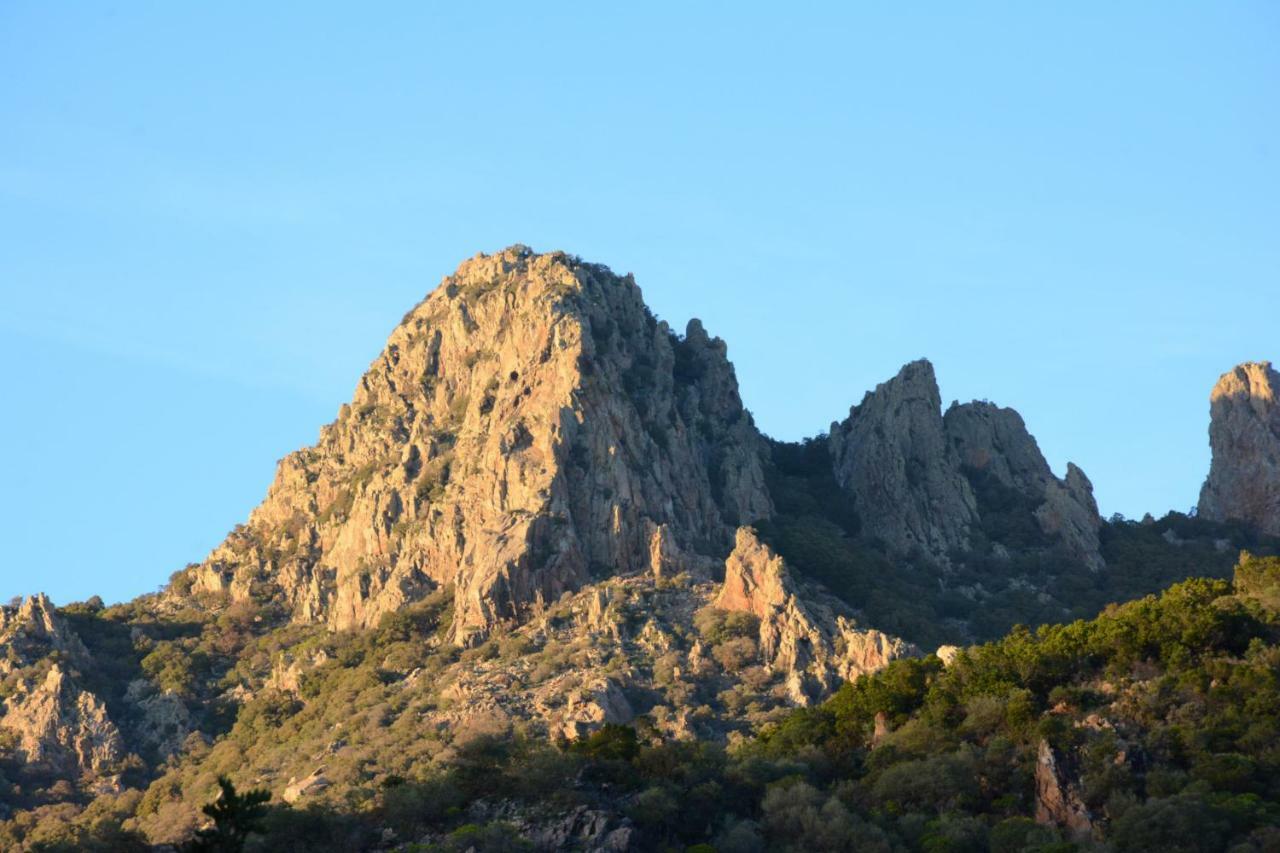 Casa Vigna Laterale E Centrale Villa Tertenia Luaran gambar